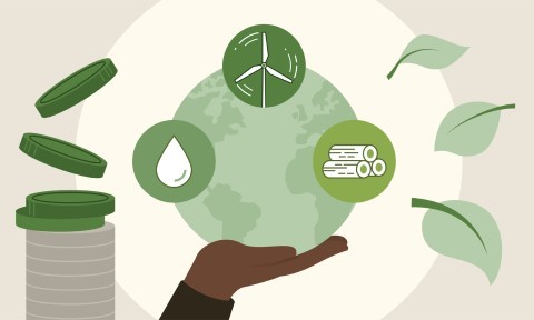 The Amount of Revenues You Receive